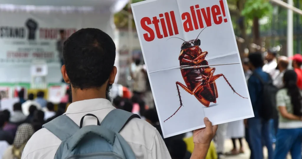 Roaches reborn win big in India