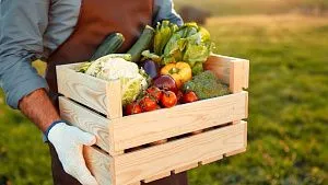 Indonesia achieves self-sufficiency in eight key food commodities