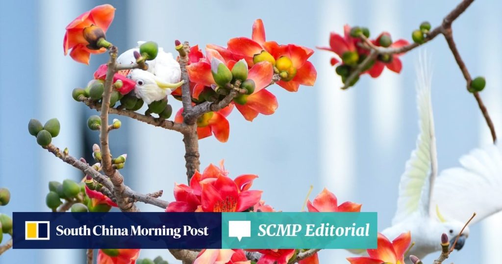 Editorial | Hong Kong’s biodiversity successes should spark more action