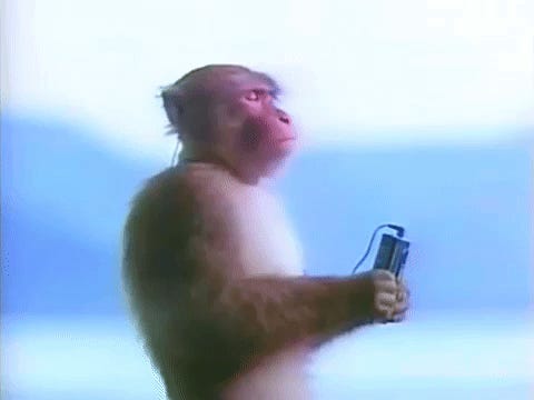 The Monkey Supply Chain – by Nick Corvino