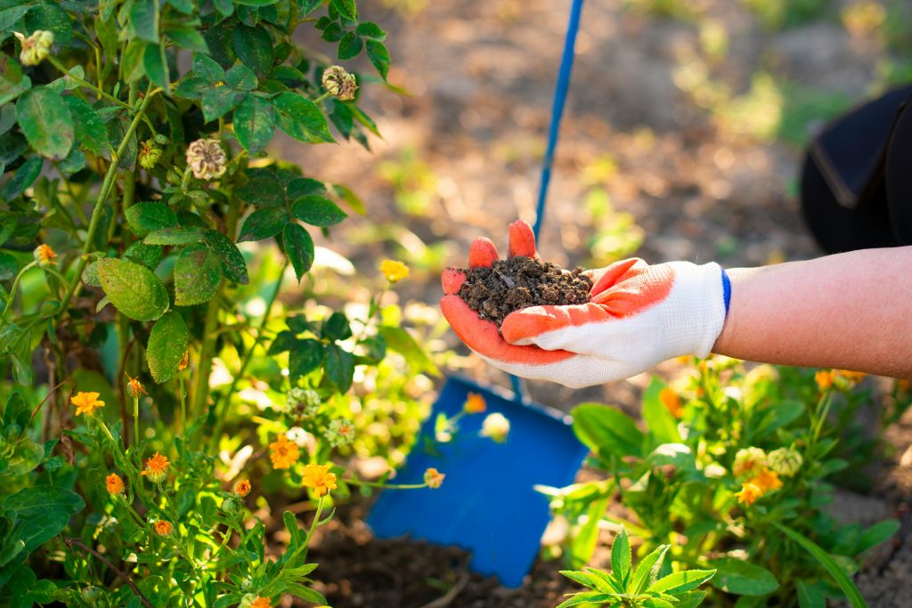 EU-funded PHAntastic project develops biodegradable agricultural materials to reduce plastic and chemical use