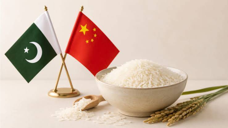 Pakistani rice exporters secure purchase intentions with Chinese companies at B2B matchmaking event