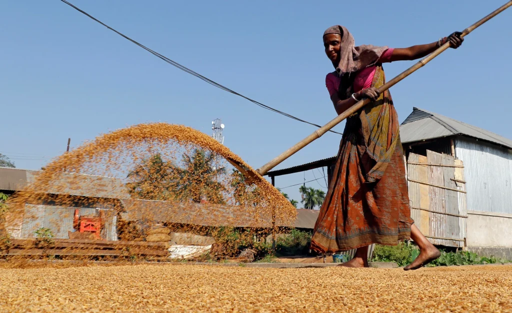 India’s gig economy leaving its women behind, study finds