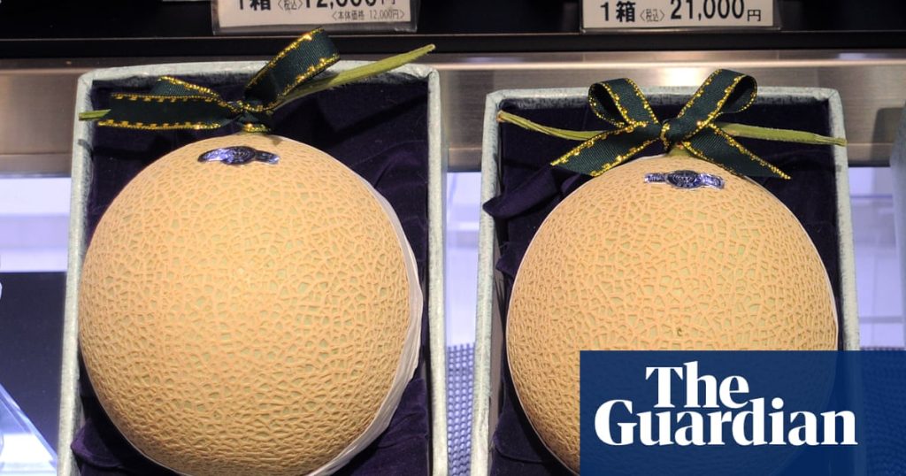 Australia has been galvanised by ‘melon-gate’. So what is the luxury fruit at the centre of the PM’s controversy? | Australian politics