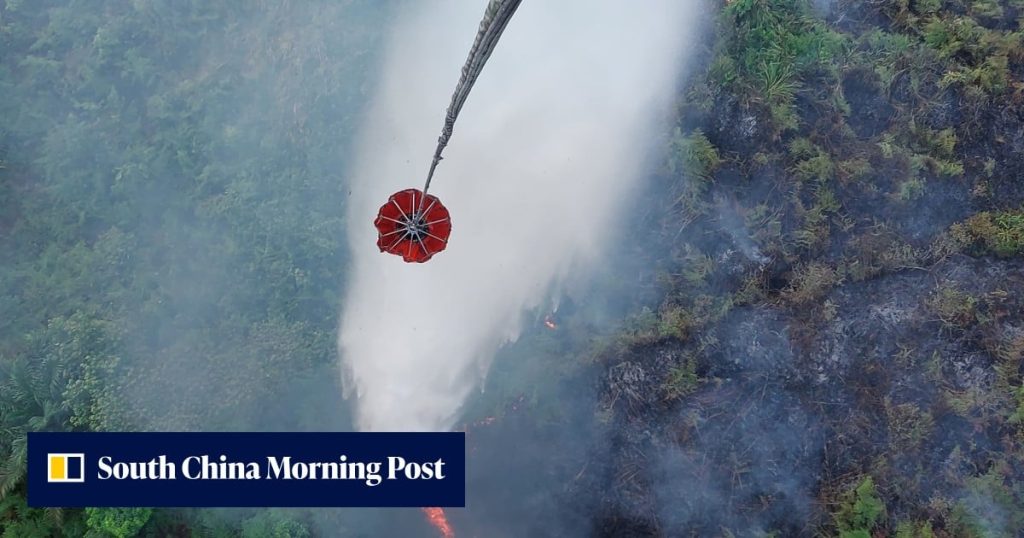As toxic haze spreads, can Indonesia make land burners pay?