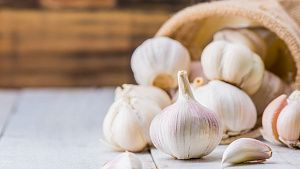 Indonesia develops virus-free garlic seeds to strengthen food security