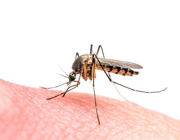 Human skin chemistry shapes species-specific mosquito attraction patterns