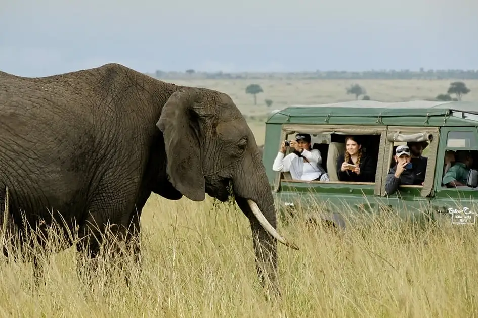 Too hot for Europe? 6 alternative summer escapes for UAE travellers