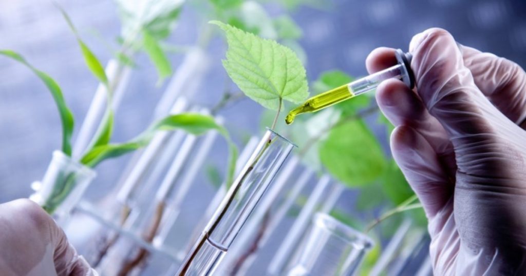 Biotechnology development plan in agriculture and environment approved