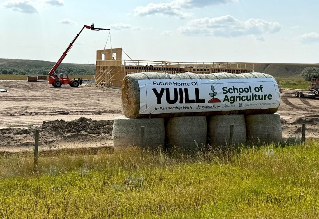 Southern Alberta school hopes to raise next generation of farmers