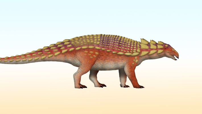 New Species of Armored Dinosaur Identified in Japan