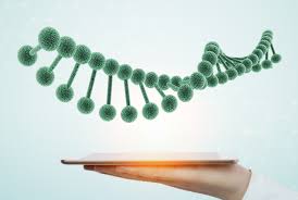 Forlong Biotechnology Completes Pivotal FL115 Manufacturing Milestone Ahead of Phase III NMIBC Trial