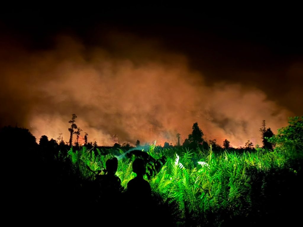 The smoke is back: has Indonesia unlearned the lessons of its recurring fires?