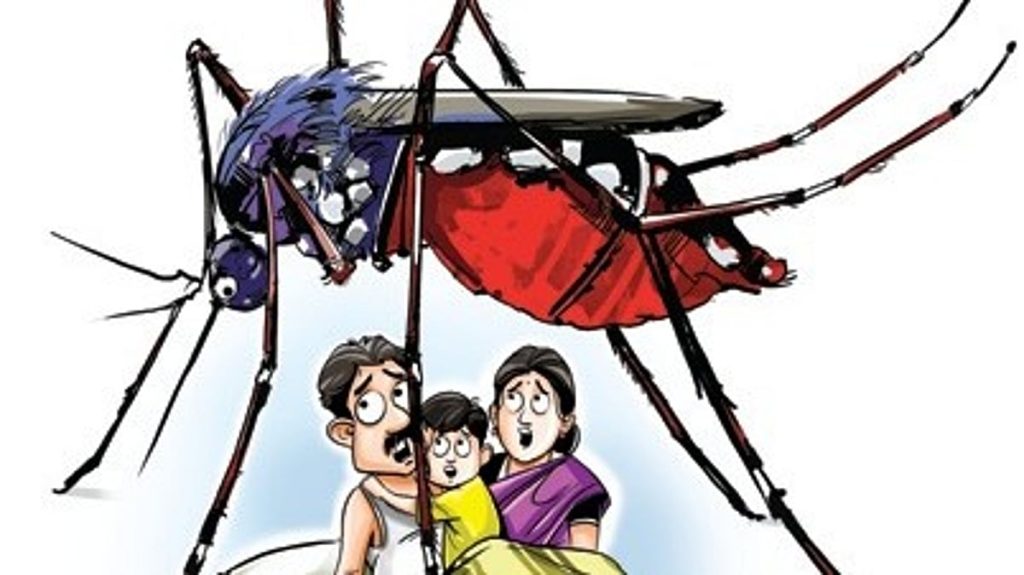 Delhi logs lower dengue cases, but sharp rise in mosquito breeding sites: MCD