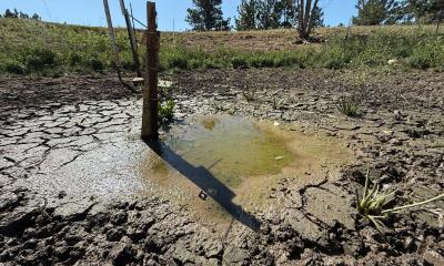 Droughts fuel spread of infectious diseases • healthcare-in-europe.com