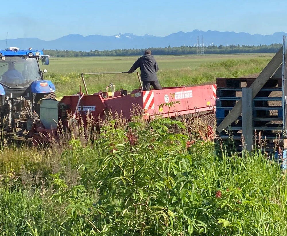 Metro Vancouver farms could have food processing